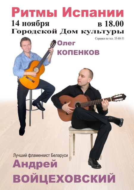 Концерт гитаристов в Пинске