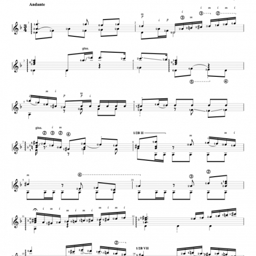 Polonaise no. 9 - M.K. Oginski, transcription for guitar by J.K. Mertz - edition by P. Steidl - A. Galuza