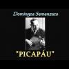 Domingos Semenzato - PICAPÁU (Choro)