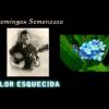 Domingos Semenzato - FLOR ESQUECIDA (Forgotten Flower)